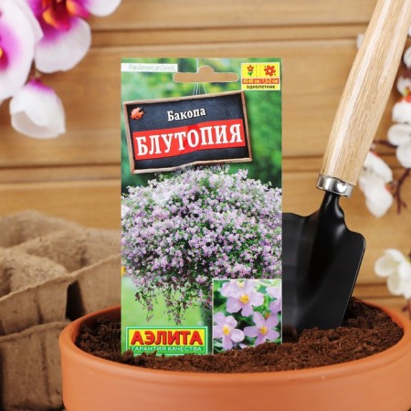 Bakop Bakop Flowers Blutopia --- ONE (dragee in a test tube) sat down. Panamerican Seed 3pcs/P-2