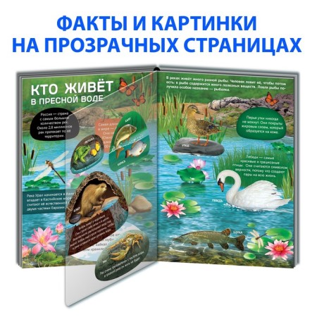 A book with transparent pages “Life on Earth. Animals and where they live ”, 30 p.-2
