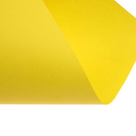Color paper A4 250l Calligrata Pastel + intensive mix 10 -cv 80g/m2, barn-16