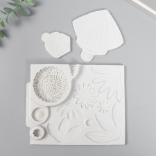 Mold Silicon 