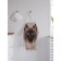 Apron of a kitchen with a photo print "Thai cat", adjustable, size OS