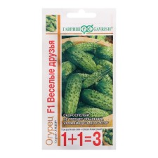 Seeds of cucumber cornishon 