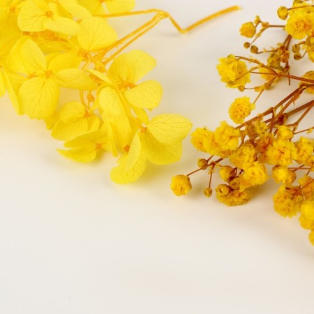 Set of dried flowers "Summer mood"-2