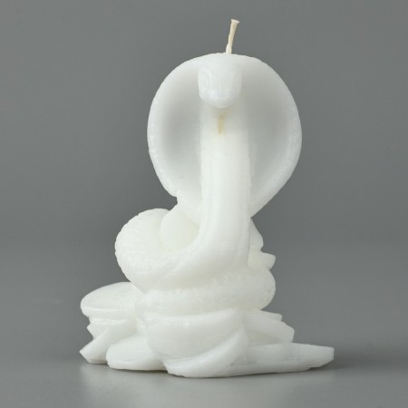 New Year 2025! Interior candle “New Year's collection: snake on coins”, white, 78 x 61 x 52-3