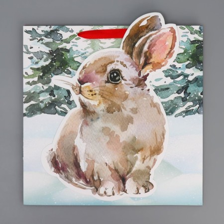 Gift Package "Bunny", 30 x 30 x 15 cm, new year-7