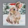 Gift Package "Bunny", 30 x 30 x 15 cm, new year