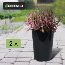 Pot for seedlings, 2 l, d = 14 cm, h = 18 cm, black, greengo
