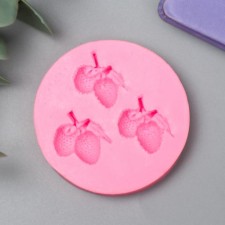 Mold Silicon 