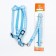 The set of stitched "paws", leash 120 x 1 cm, OG 23-35 cm, blue