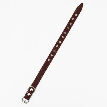 Collar combined leather/tarpaulin, dimensionless, 54 x 2.5 cm, Osh 17-45 cm, brown-2