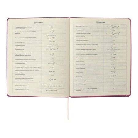 Universal diary for grade 1-11 Smart Thoughts, hard cover, artificial leather, foam rubber, silkography, lies, 80 g/m2-8