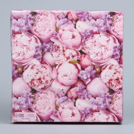 Cookie box, confectionery packaging with PVC lid, “Blow with happiness”, 21 x 21 x 3 cm-5