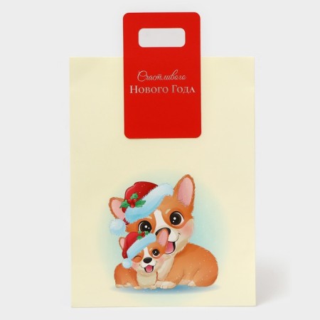 New Year's gift package with a trim “Corgi” 30 x 40 x 12 cm.-1