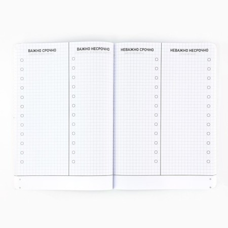 Planing time management A5+, software, UV-LK 100 L "Black"-3