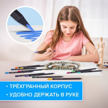 Pencils 24 colors Brauberg Black Wood, three -sided, 3 mm diameter, black tree-8