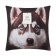Decorative pillow "Husky"