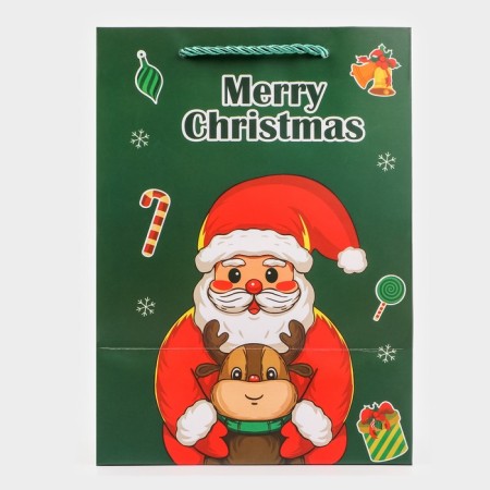 Gift package with the window "Santa Claus", 18 x 25 x 13 cm, green-1