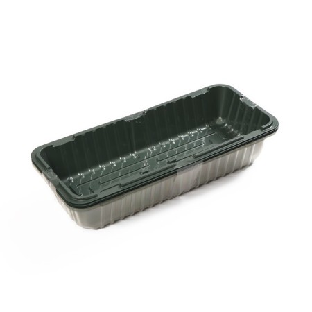 Mini-Pirate for seedlings, 39.5 × 17 × 13 cm, without inserts, dark green, Greengo-6