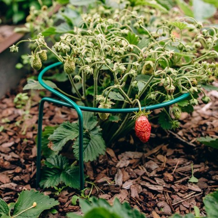 Builder for strawberries, d = 20 cm, h = 25 cm, leg d = 0.3 cm, metal, green-3