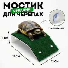 Bridge for turtles is medium, on suction cups, 18 x 12 x 5 cm