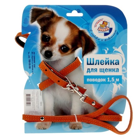 Set "Zononic": a slope with a leash for puppies, 150 x 0.12 cm, leather, mix