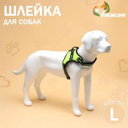 Cloll improved K7 soft reflective, size L, OG 64-86 cm, weight 18-27.5 kg, green