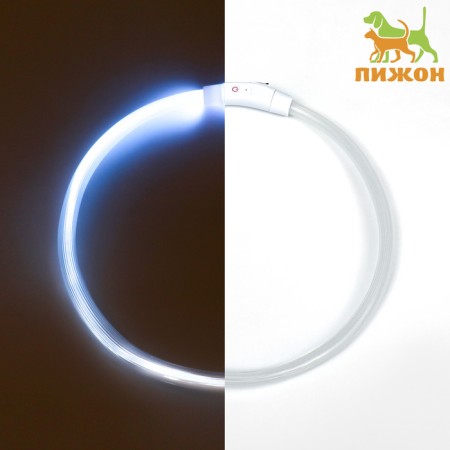 Collar - backlighting ring, charging from USB, up to 70 cm, 3 glow modes, multi -c.