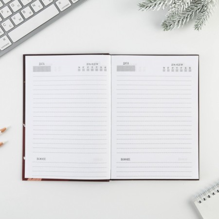 Diary in the solid cover “New Year is doomed to success” A5, 80 sheets-1