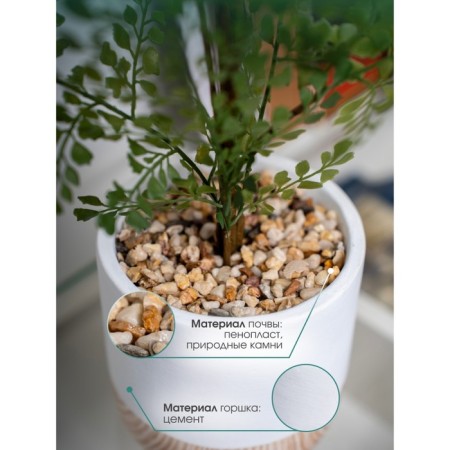 Curly fern in a cement pot, 125 × 125 × 710 mm, green / white / beige color-2