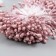 Stamens for flowers "droplets of gloss cappuccino" set 300 pcs length 6 cm