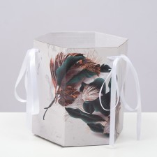Box folding ghost -beep 
