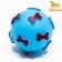 BOOVE BOSE BOOK BOVE for dogs for dogs, 5.5 cm, blue