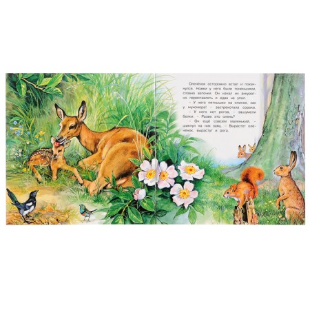 “We know the world around us. Adventures of the Olena ”, 16 p.-1