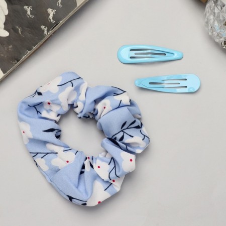 Hair set "Emilia" (elastic band, 2 invisibility 4.5 cm) flowers, blue-2