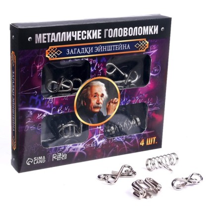 Metal puzzle “Einstein riddles”, set of 4 pcs.-2