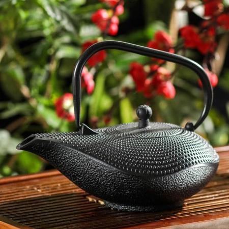 Kettle with sieve "Nagai", 900 ml, black color