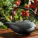 Kettle with sieve "Nagai", 900 ml, black color