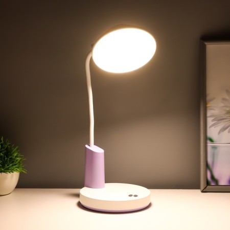 Highway lamp "Gard" LED, from USB/AKB 7 W, 3000-6000 sensor to white-violet 13x12x37 cm Risalux-3