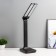 Board lamp LED 10W 650LM 4100K black 30x15x37cm