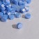 Wax in granules "cornflower" pearl set of 100 capsules