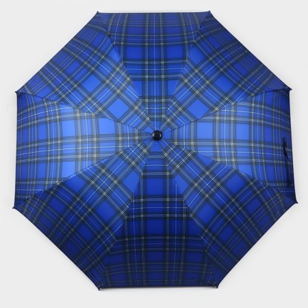 Umbrella - a semiautomatic “cage” cane, Eponge, 8 spokes, r = 58 cm, Mix drawing-10