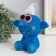 Growing gift grass grass "troll" blue mix
