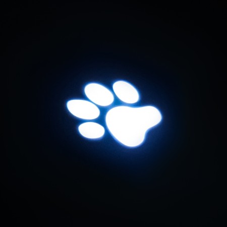 Laser pointer for cats "Paw" with batteries with batteries-4