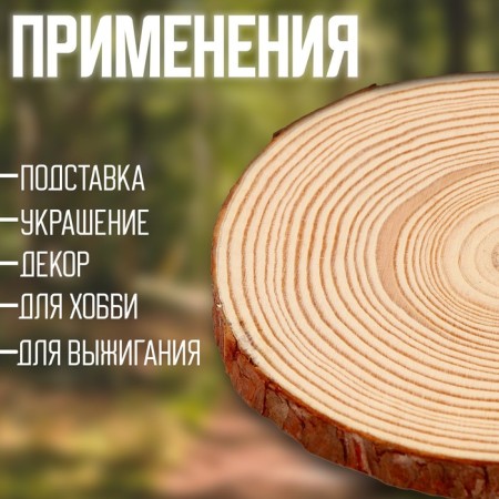 Wooden decor "Sawdal of a tree" Size: from 13 to14 cm-1