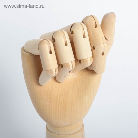Model wooden art mannequin "Male Right Hand" 31 cm-2