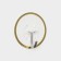 Hooks self -adhesive delaw Gold, 4 pcs, 6 × 6 × 2 cm, transparent
