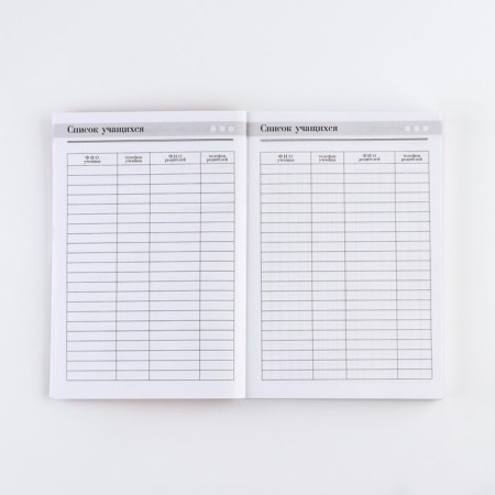 Diary "Diary of the best teacher", A5 format, 160 sheets, soft cover-9