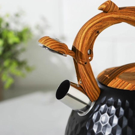 A kettle with a stainless steel whistle Magistro Heat, 3 L, TRS, Induction, Soft-Touch Hand, Black Color Black-11