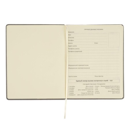Universal diary for grades 1-11, hard cover, artificial leather, elastic band, lies, tinted block, 48 sheets-2