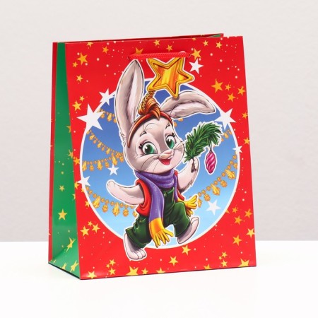 Gift Package "Zvezdochka Bunny", 18 x 22.3 x 10 cm